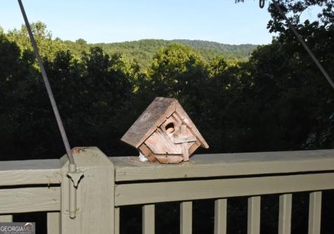 344 Buck Ridge Road Suches GA 30572