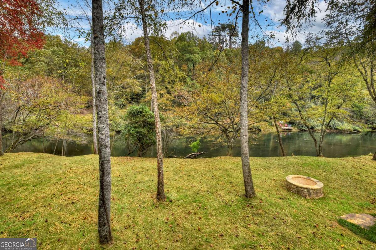 577 Blackberry Mineral Bluff GA 30559