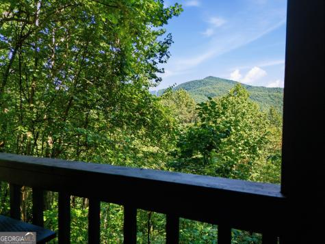 445 Orchid Trail Clayton GA 30525