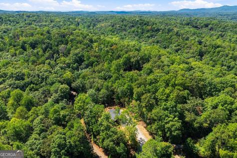 178 Spalding Circle Ellijay GA 30540