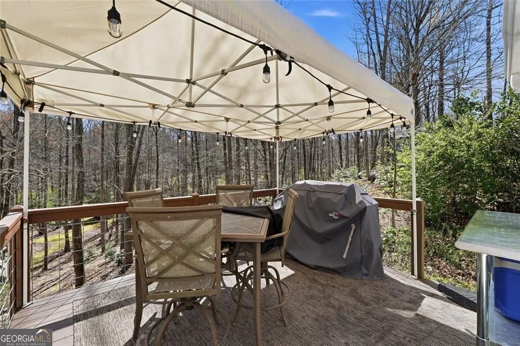 118 Jordan Lane Talking Rock GA 30175