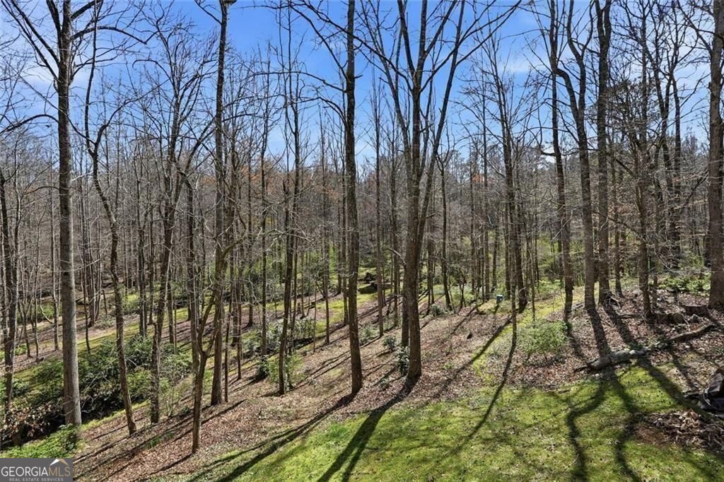 118 Jordan Lane Talking Rock GA 30175