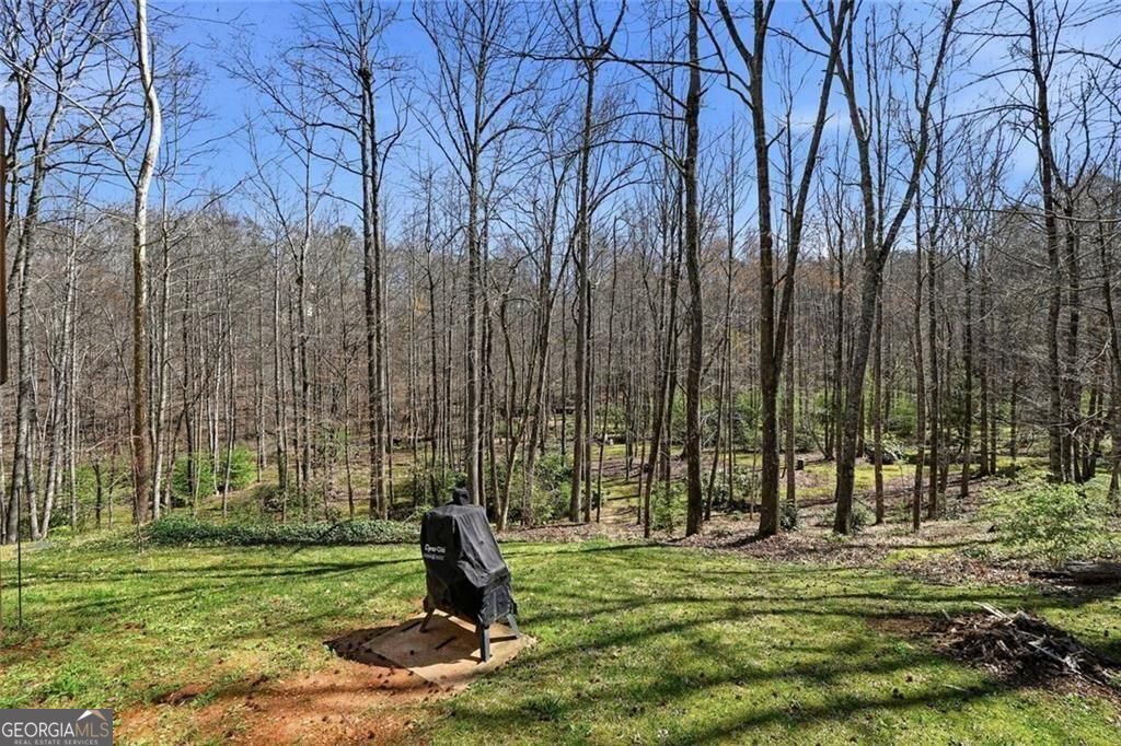 118 Jordan Lane Talking Rock GA 30175
