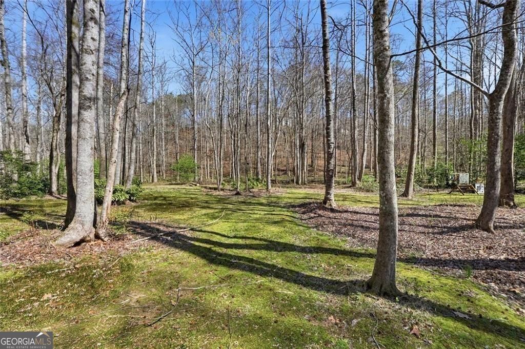 118 Jordan Lane Talking Rock GA 30175