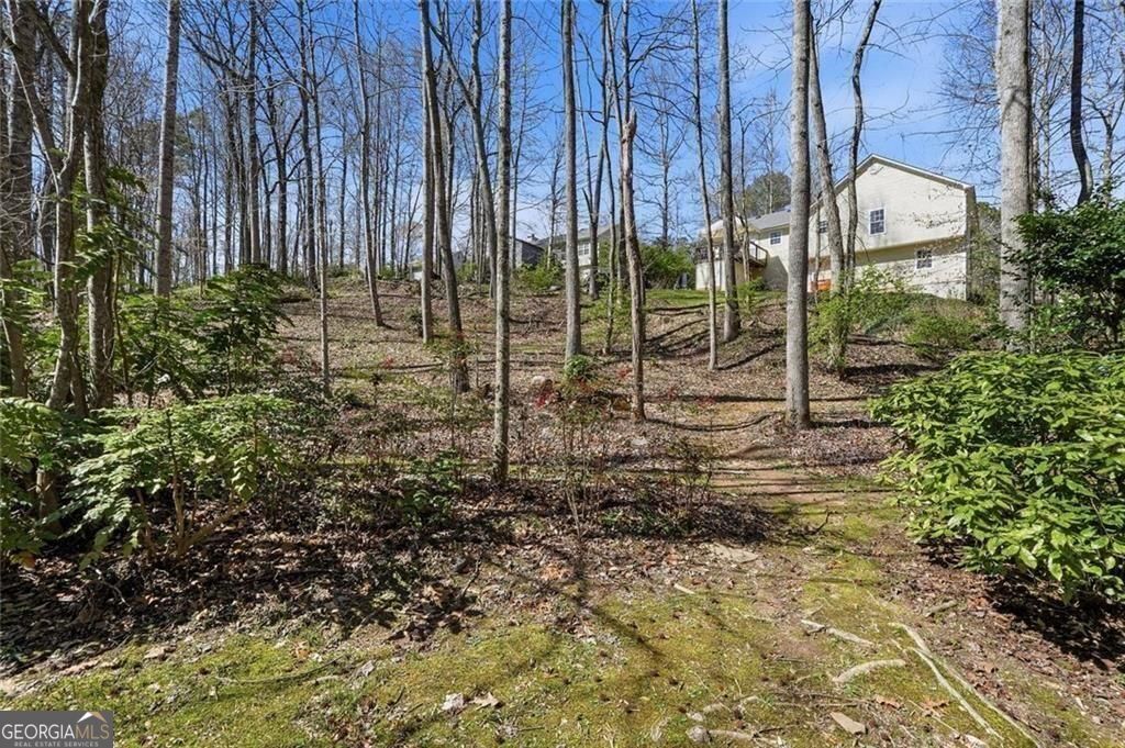 118 Jordan Lane Talking Rock GA 30175