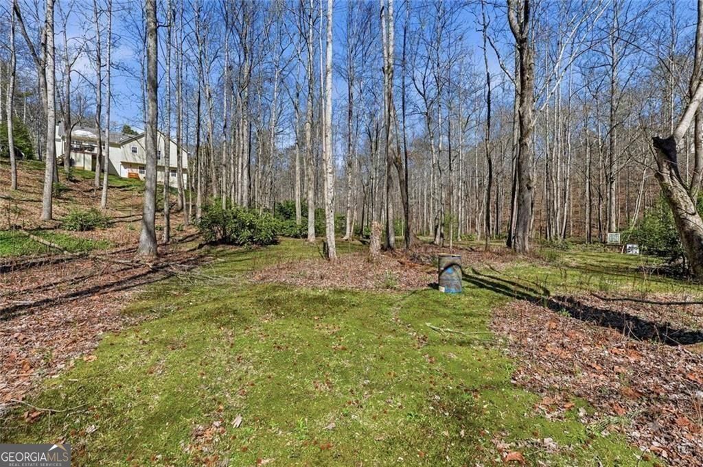 118 Jordan Lane Talking Rock GA 30175