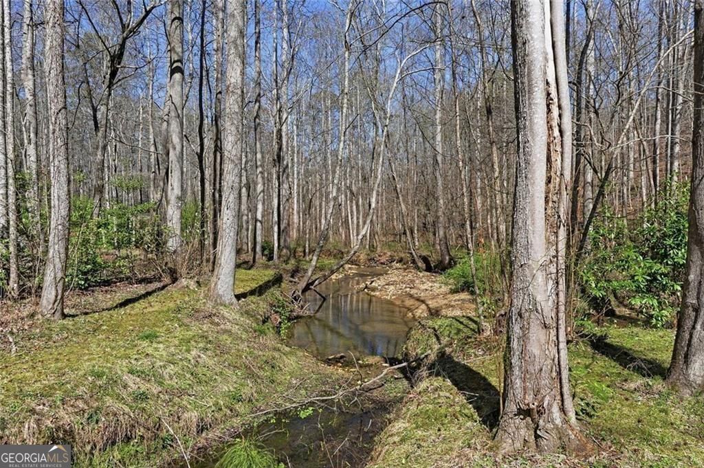 118 Jordan Lane Talking Rock GA 30175