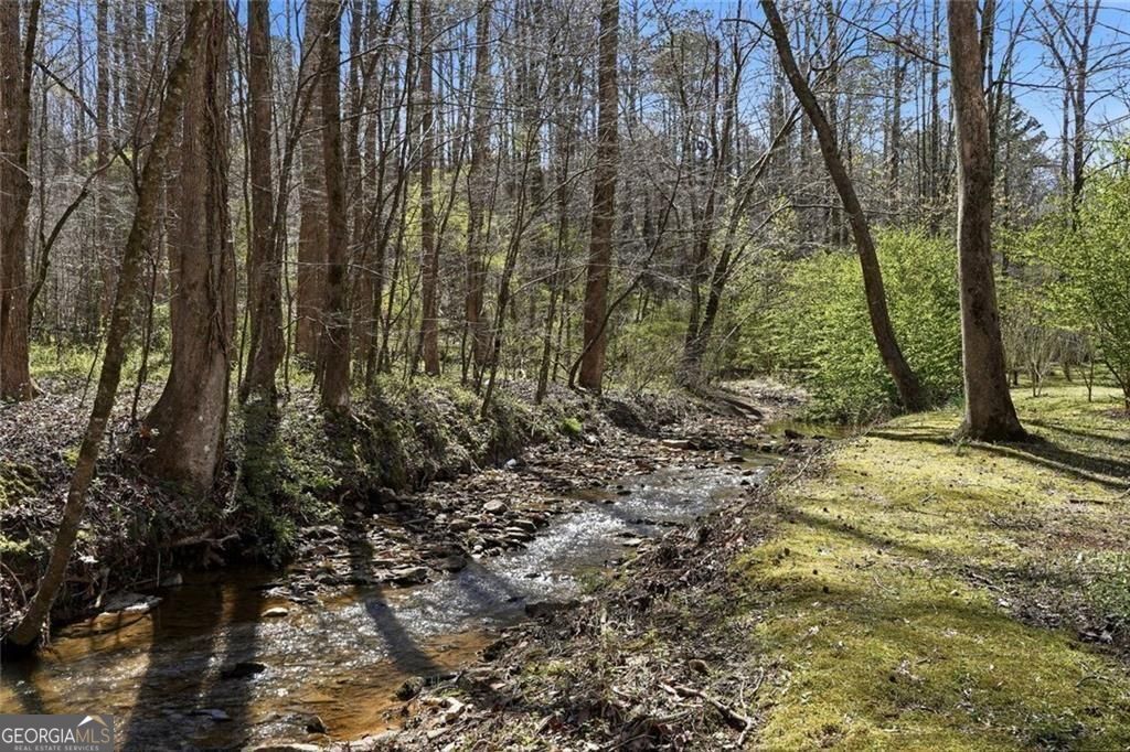 118 Jordan Lane Talking Rock GA 30175