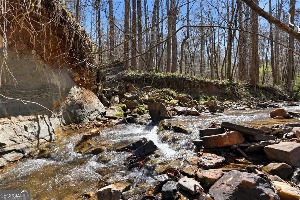 118 Jordan Lane Talking Rock GA 30175
