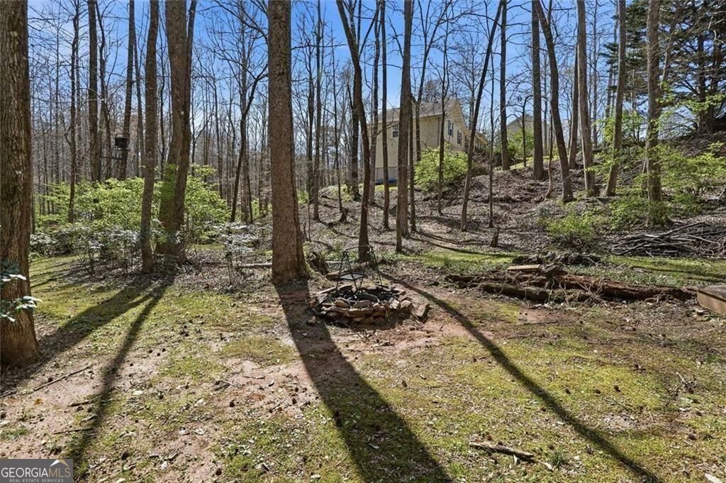 118 Jordan Lane Talking Rock GA 30175
