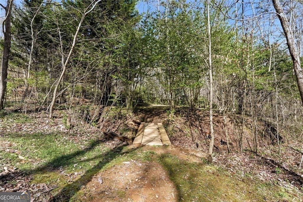 118 Jordan Lane Talking Rock GA 30175
