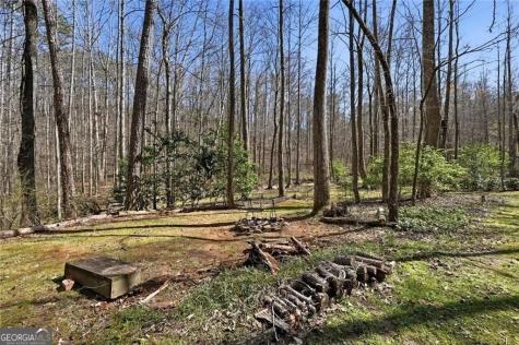 118 Jordan Lane Talking Rock GA 30175
