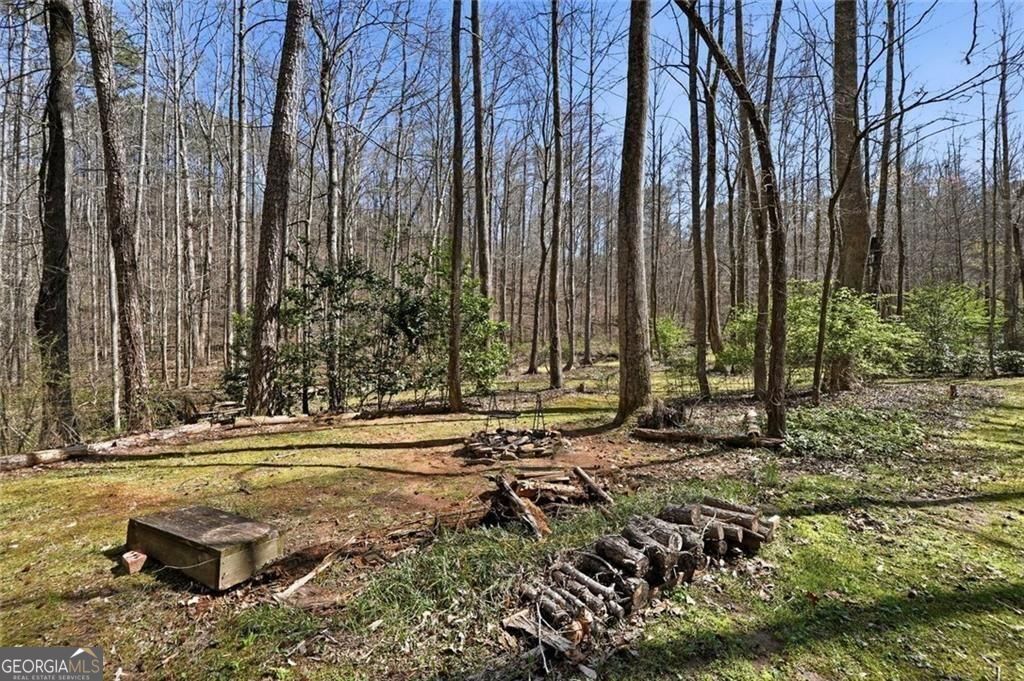 118 Jordan Lane Talking Rock GA 30175