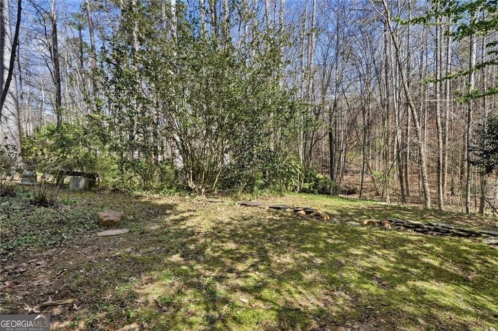 118 Jordan Lane Talking Rock GA 30175