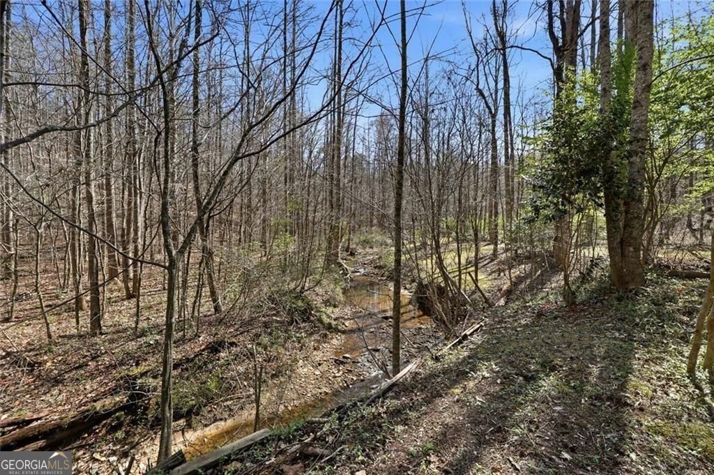 118 Jordan Lane Talking Rock GA 30175