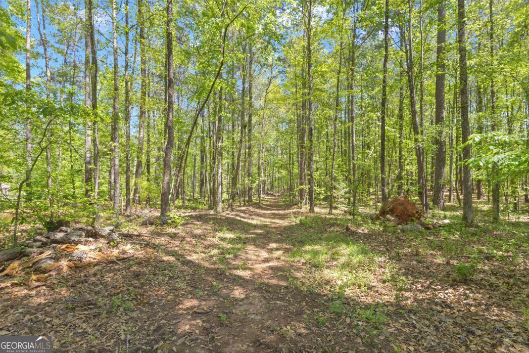 130 Sam Solomon Road Locust Grove GA 30248