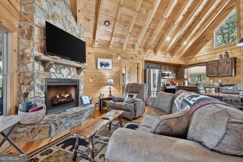 53 Haley Drive Cherry Log GA 30522