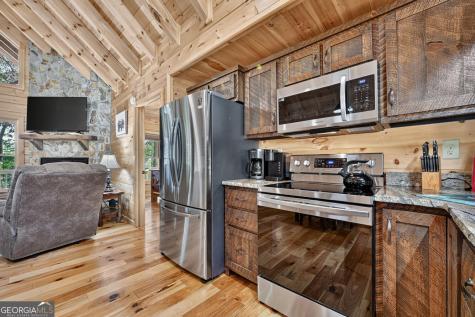 53 Haley Drive Cherry Log GA 30522