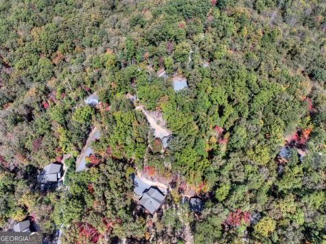 53 Haley Drive Cherry Log GA 30522