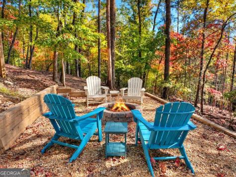 53 Haley Drive Cherry Log GA 30522