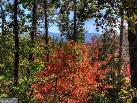 53 Haley Drive Cherry Log GA 30522