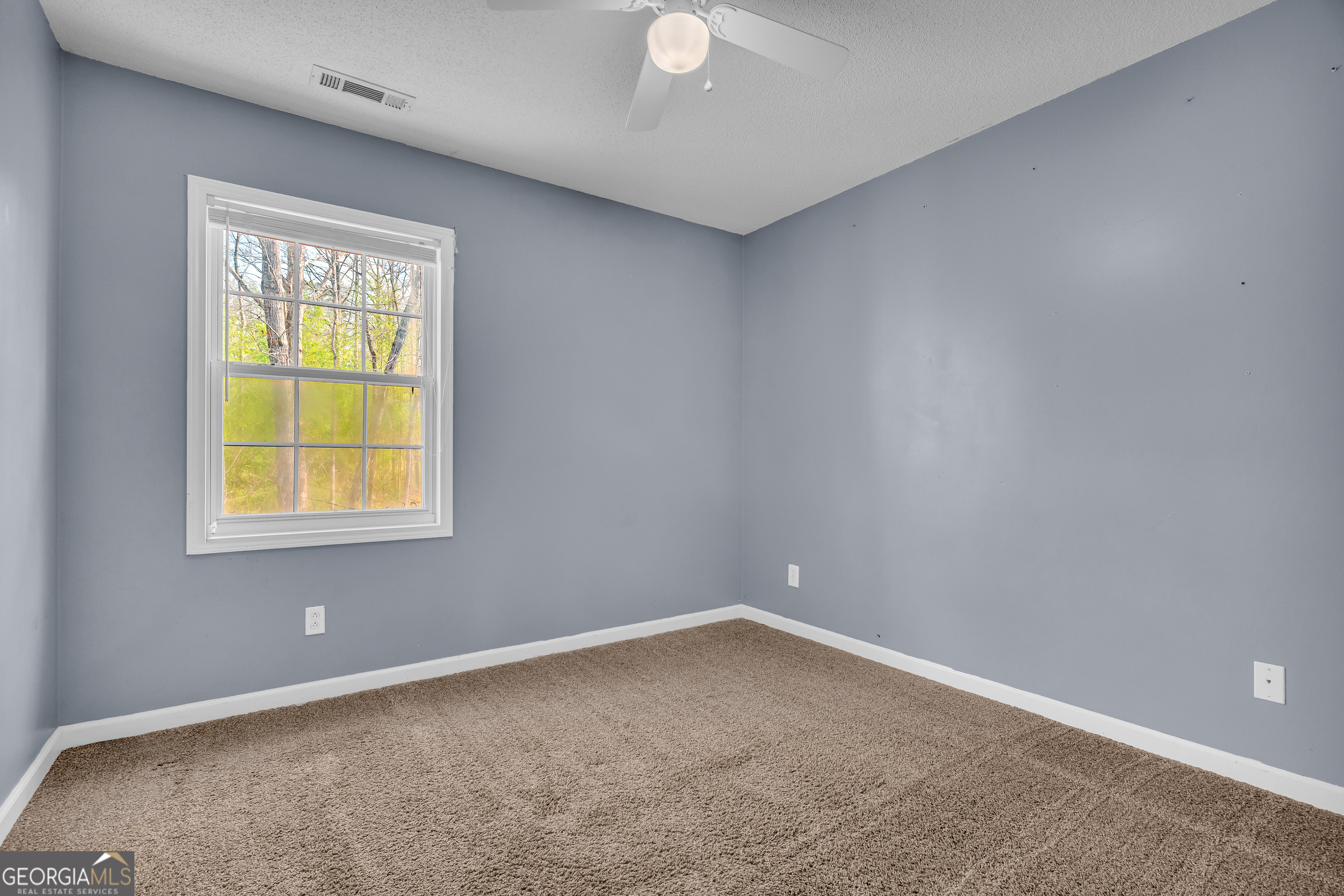 169 Leafview Drive Cleveland GA 30528