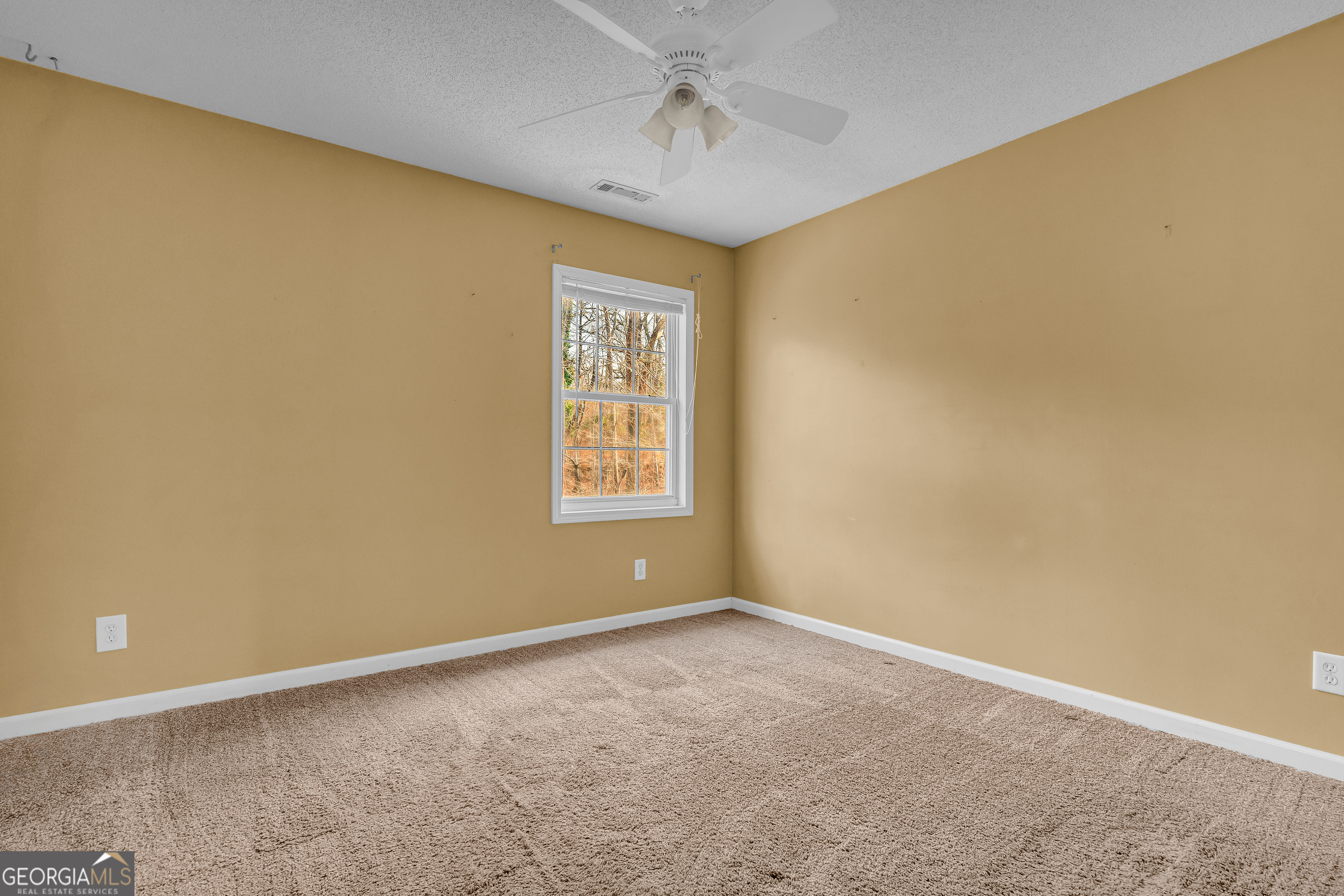169 Leafview Drive Cleveland GA 30528