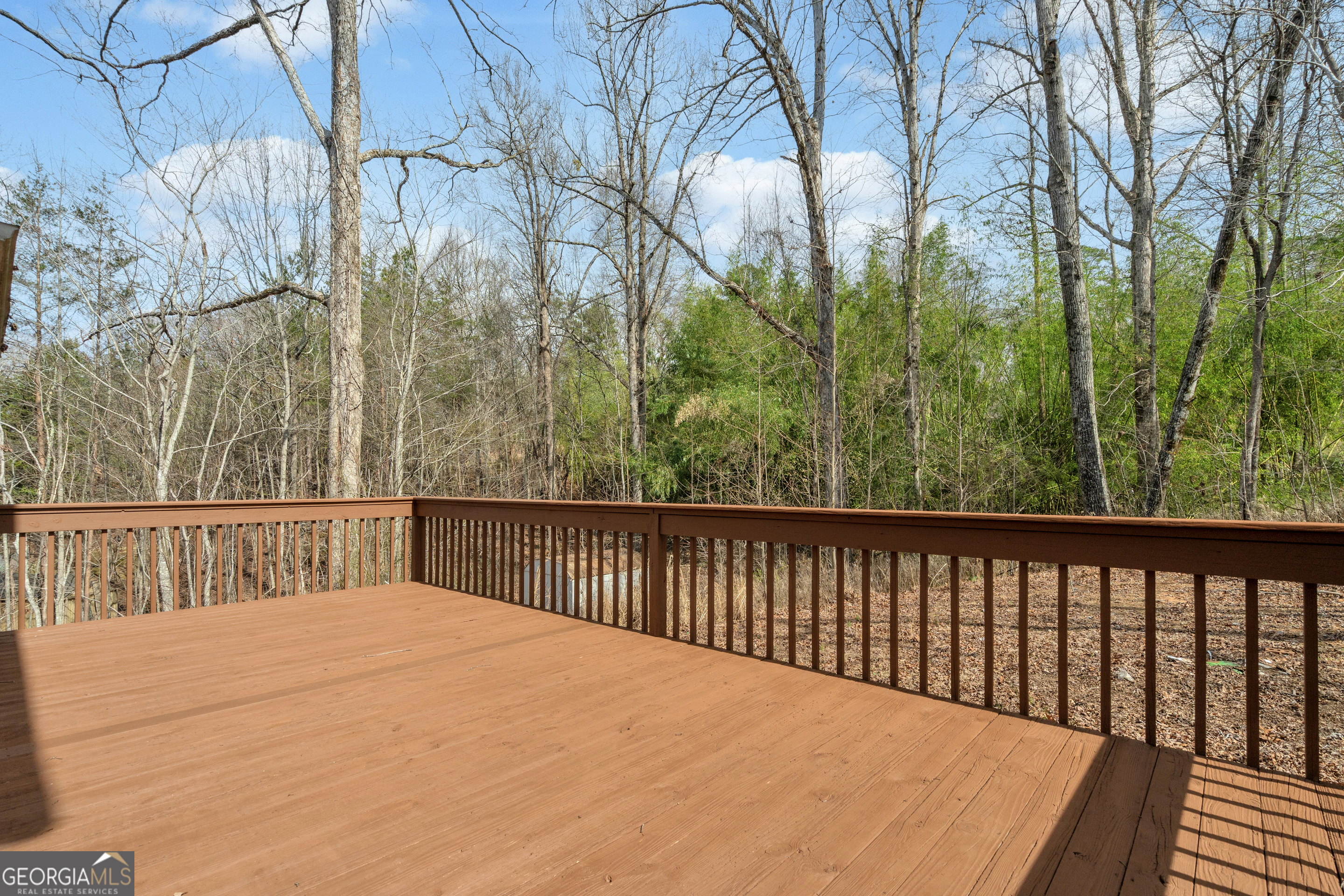 169 Leafview Drive Cleveland GA 30528