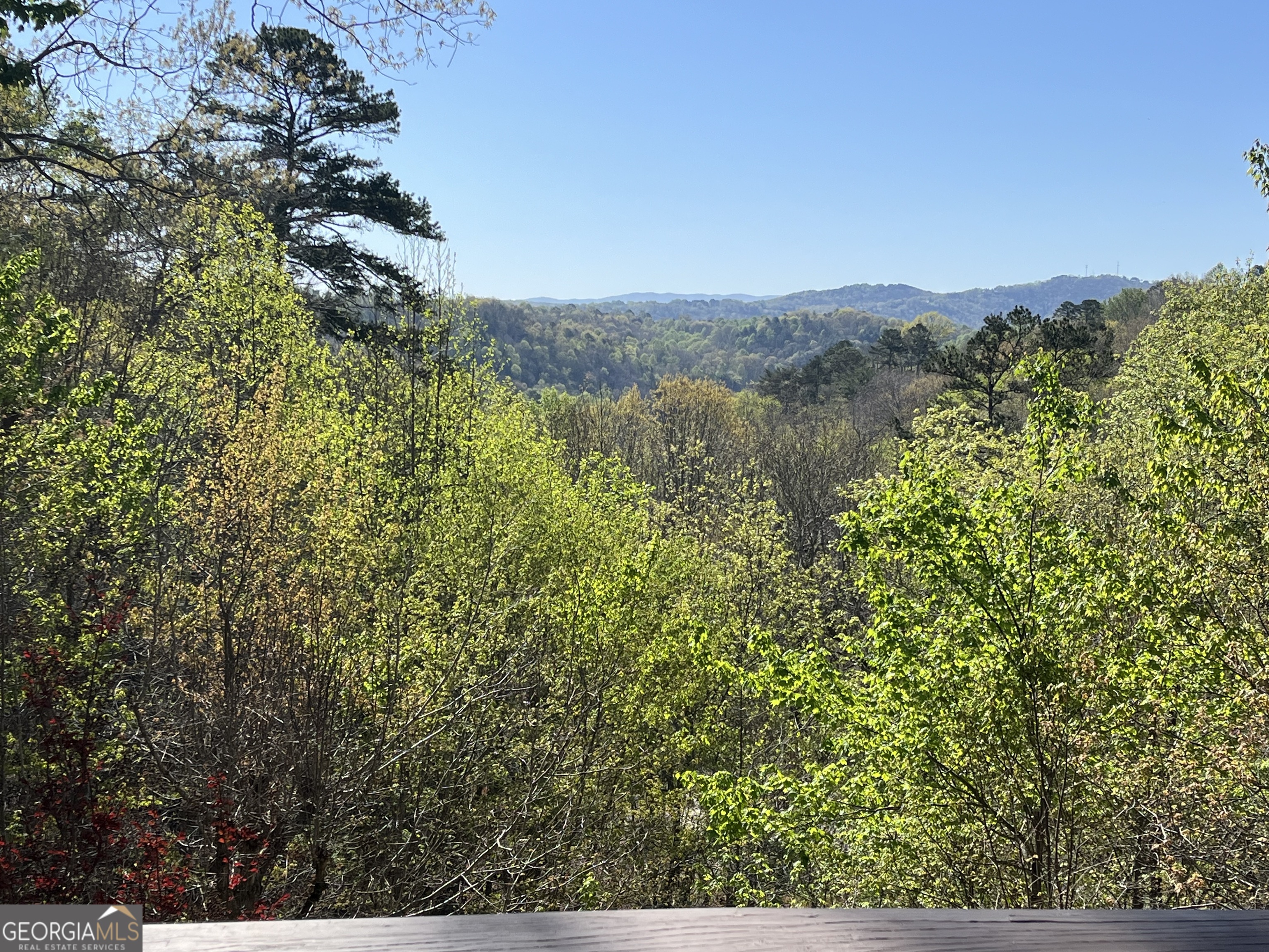 326 Garfield Drive Ellijay GA 30540