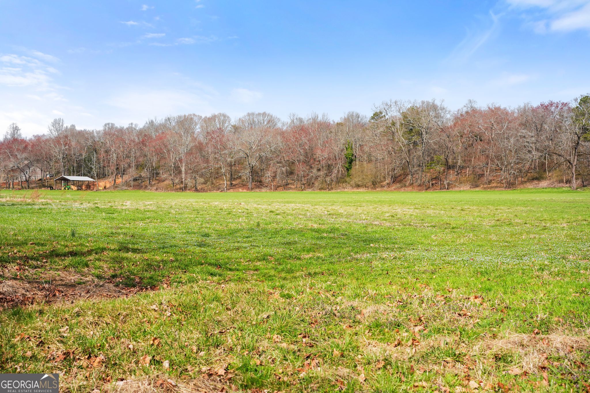201 Fred Pitts Road Demorest GA 30535