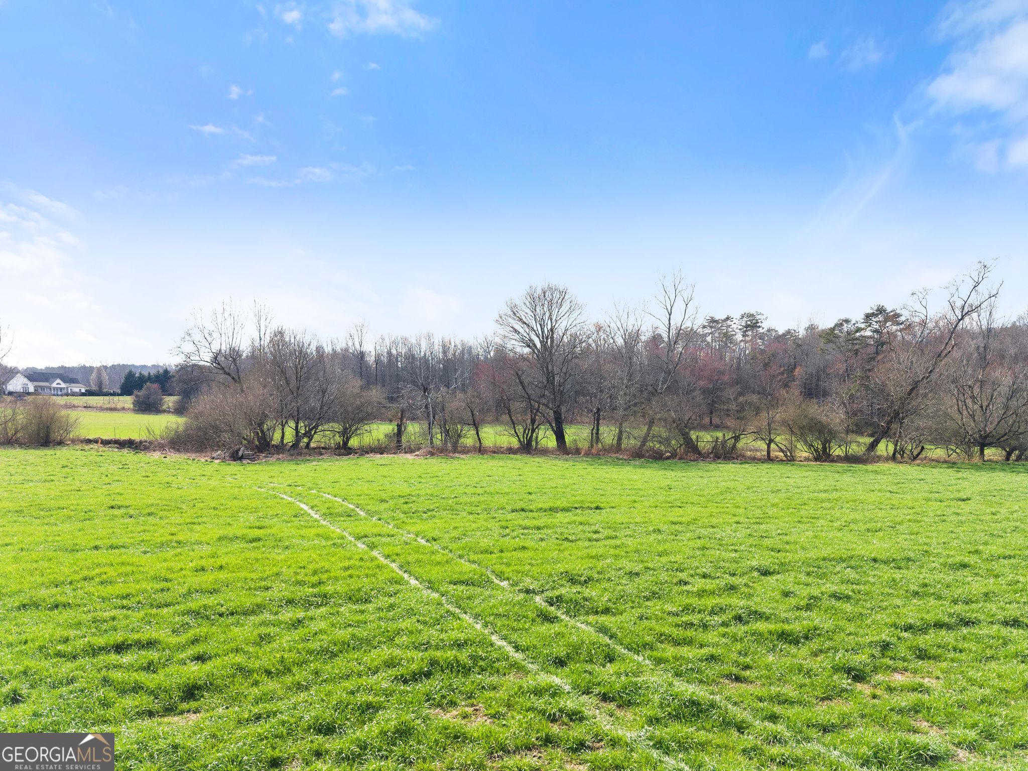 201 Fred Pitts Road Demorest GA 30535