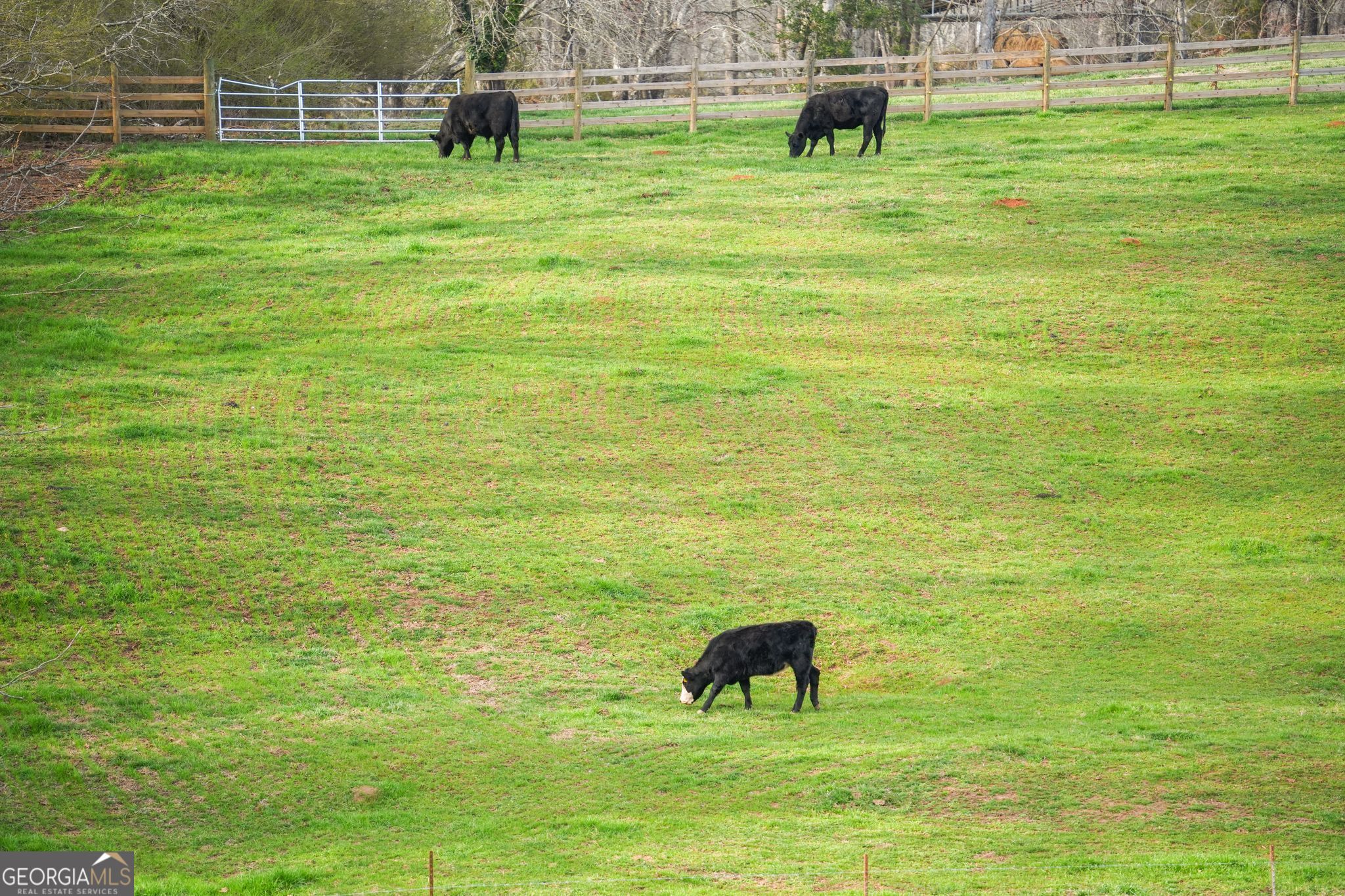 201 Fred Pitts Road Demorest GA 30535