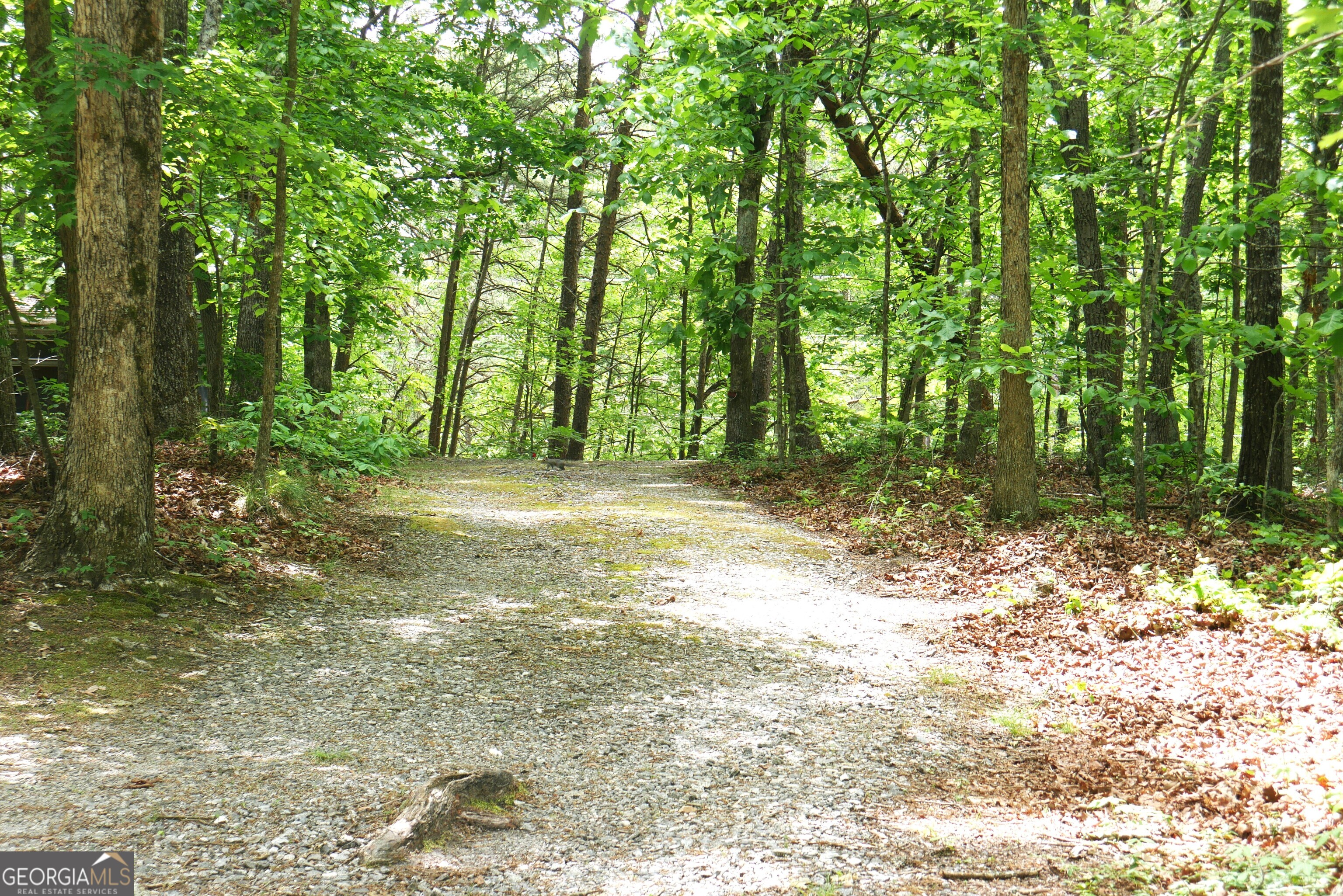 24 Lake Laurel Drive Dahlonega GA 30533