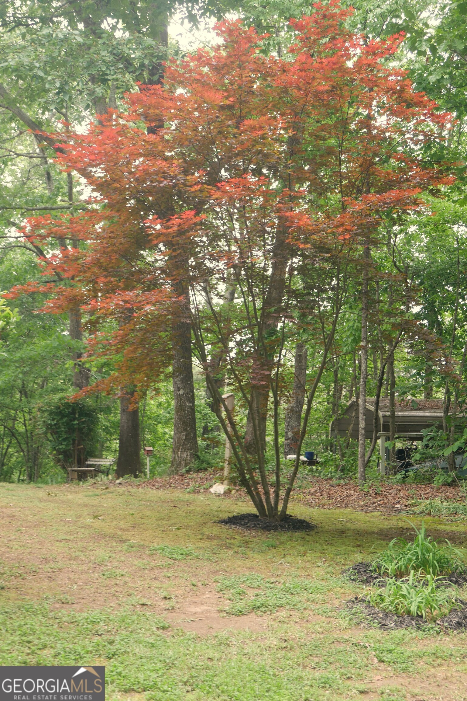 24 Lake Laurel Drive Dahlonega GA 30533