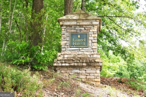 24 Lake Laurel Drive Dahlonega GA 30533