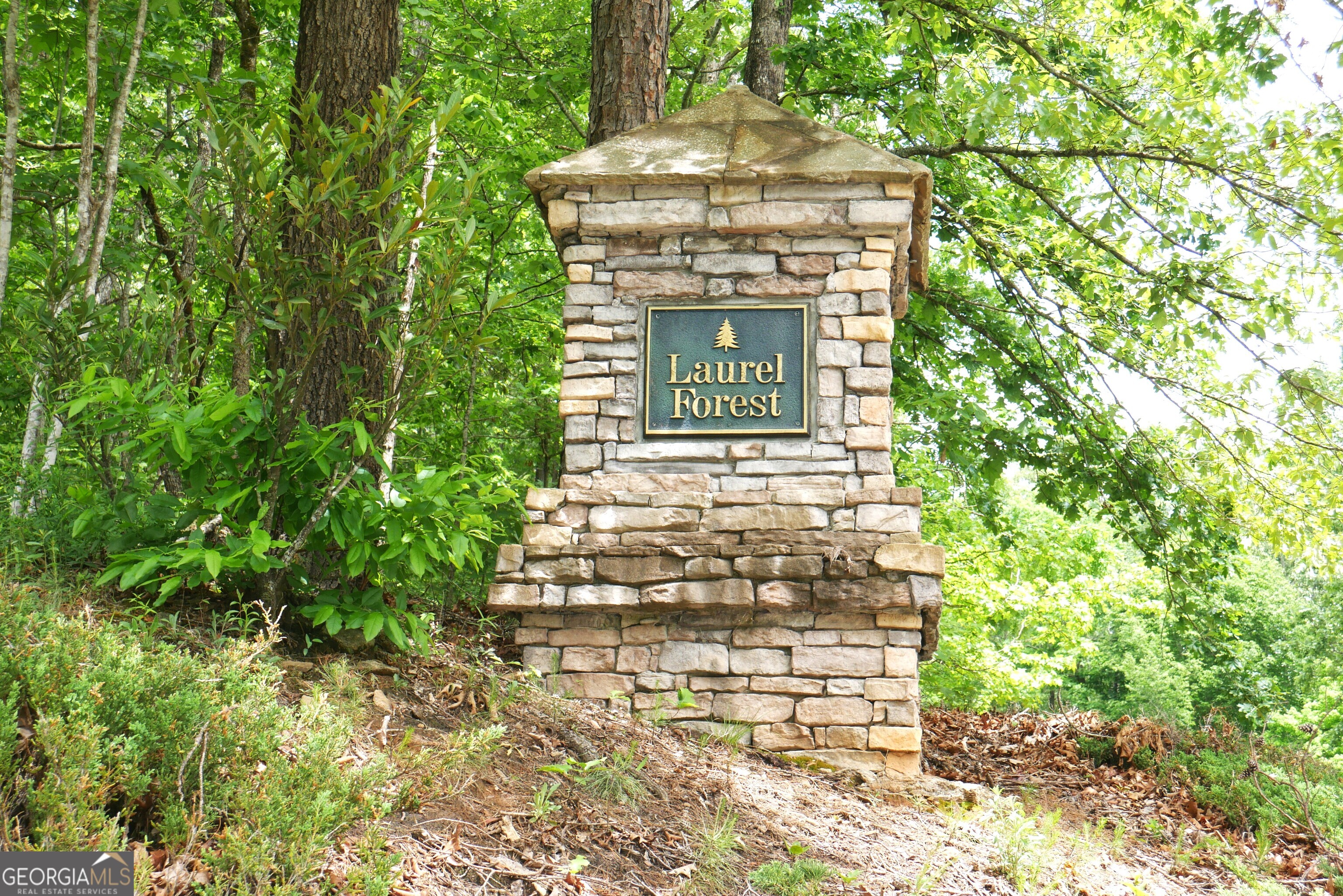 24 Lake Laurel Drive Dahlonega GA 30533