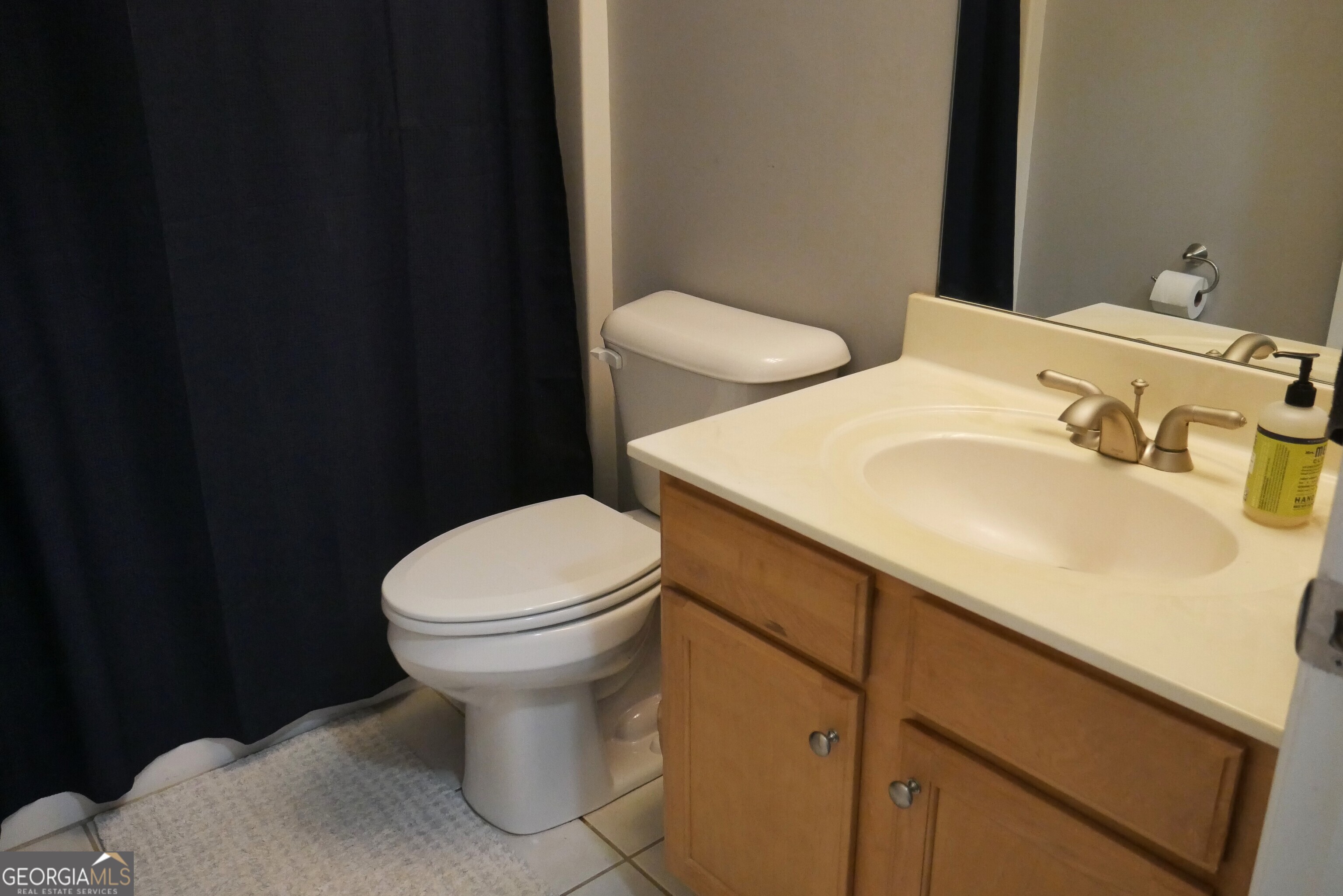 24 Lake Laurel Drive Dahlonega GA 30533