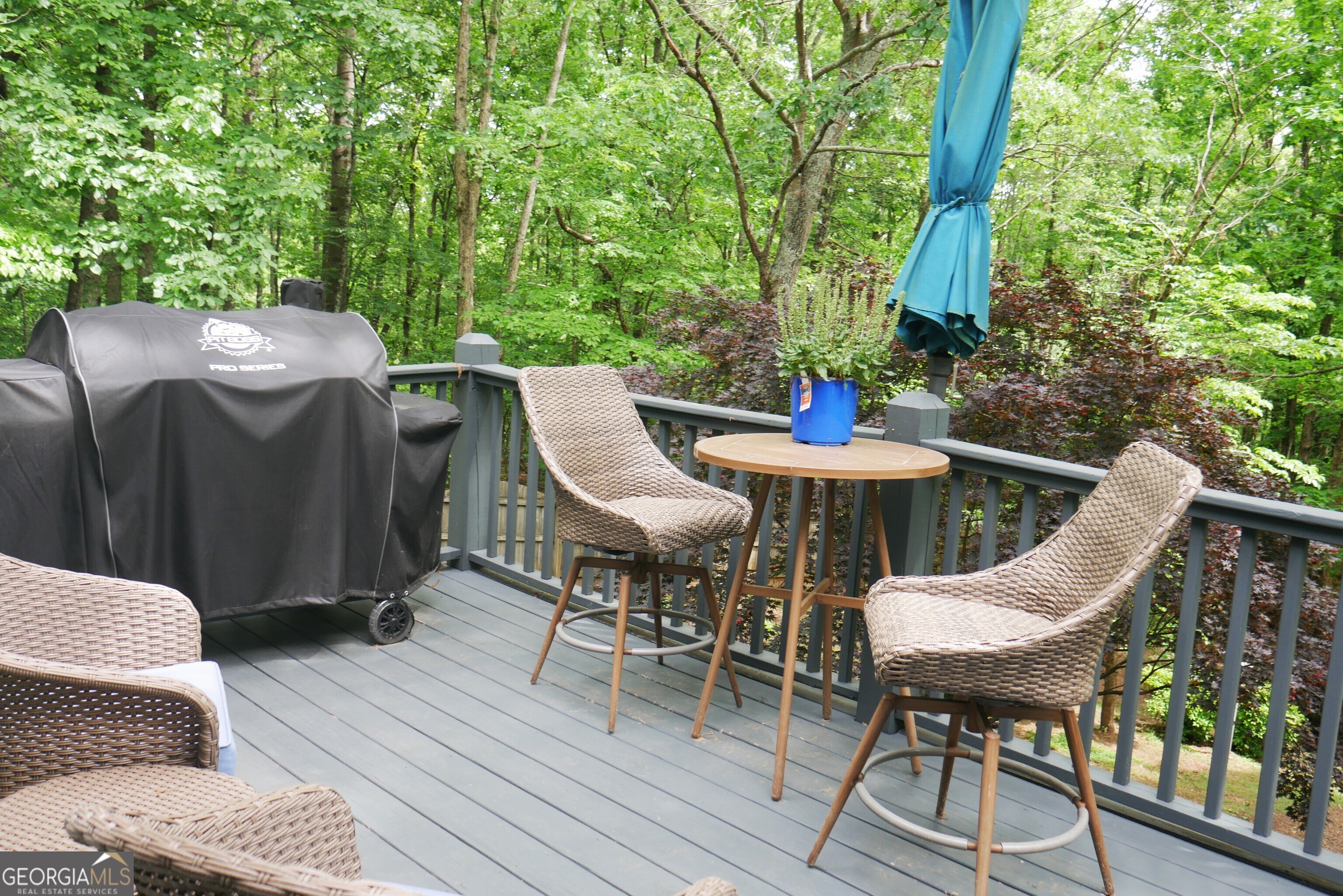 24 Lake Laurel Drive Dahlonega GA 30533