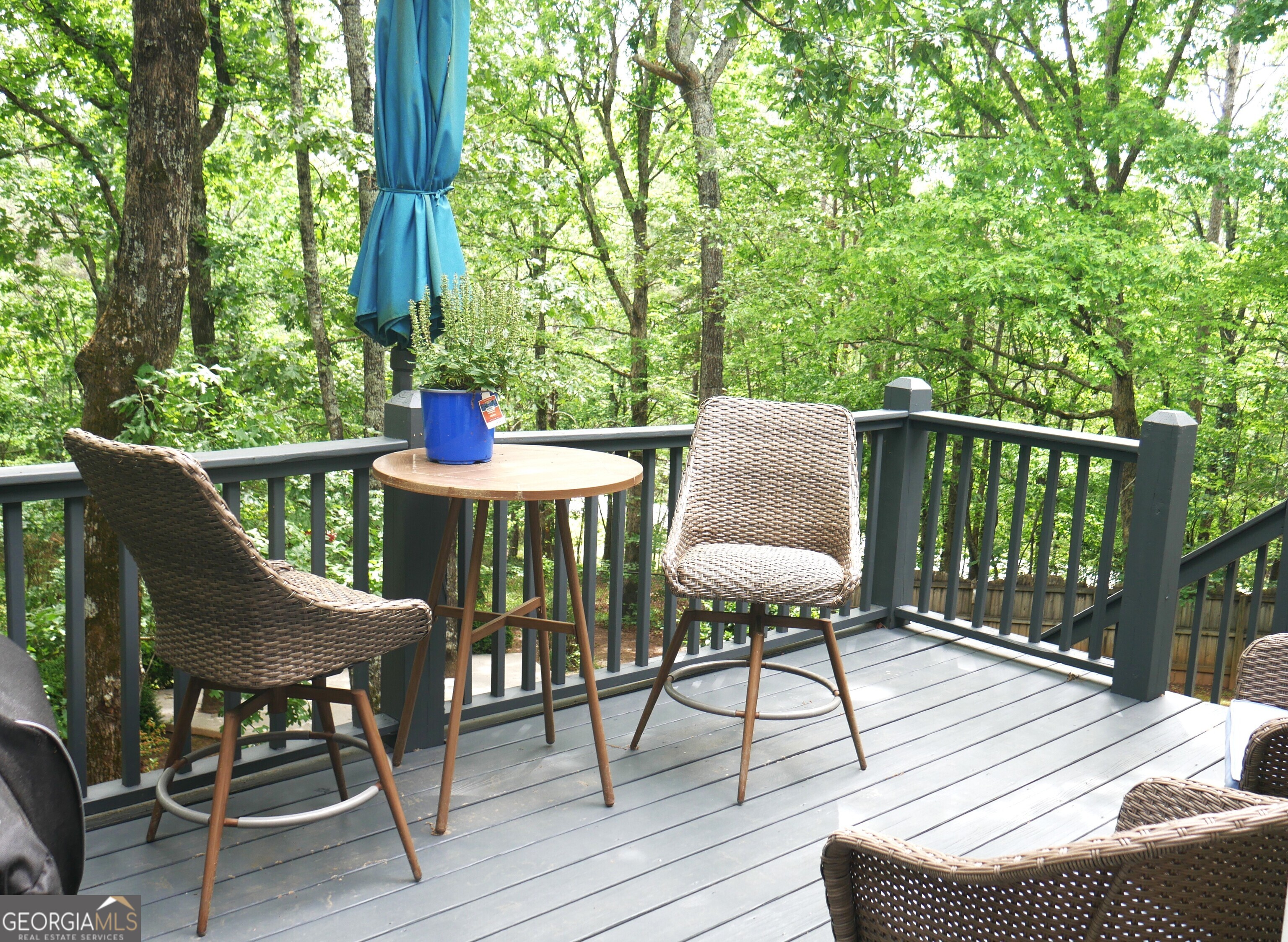 24 Lake Laurel Drive Dahlonega GA 30533