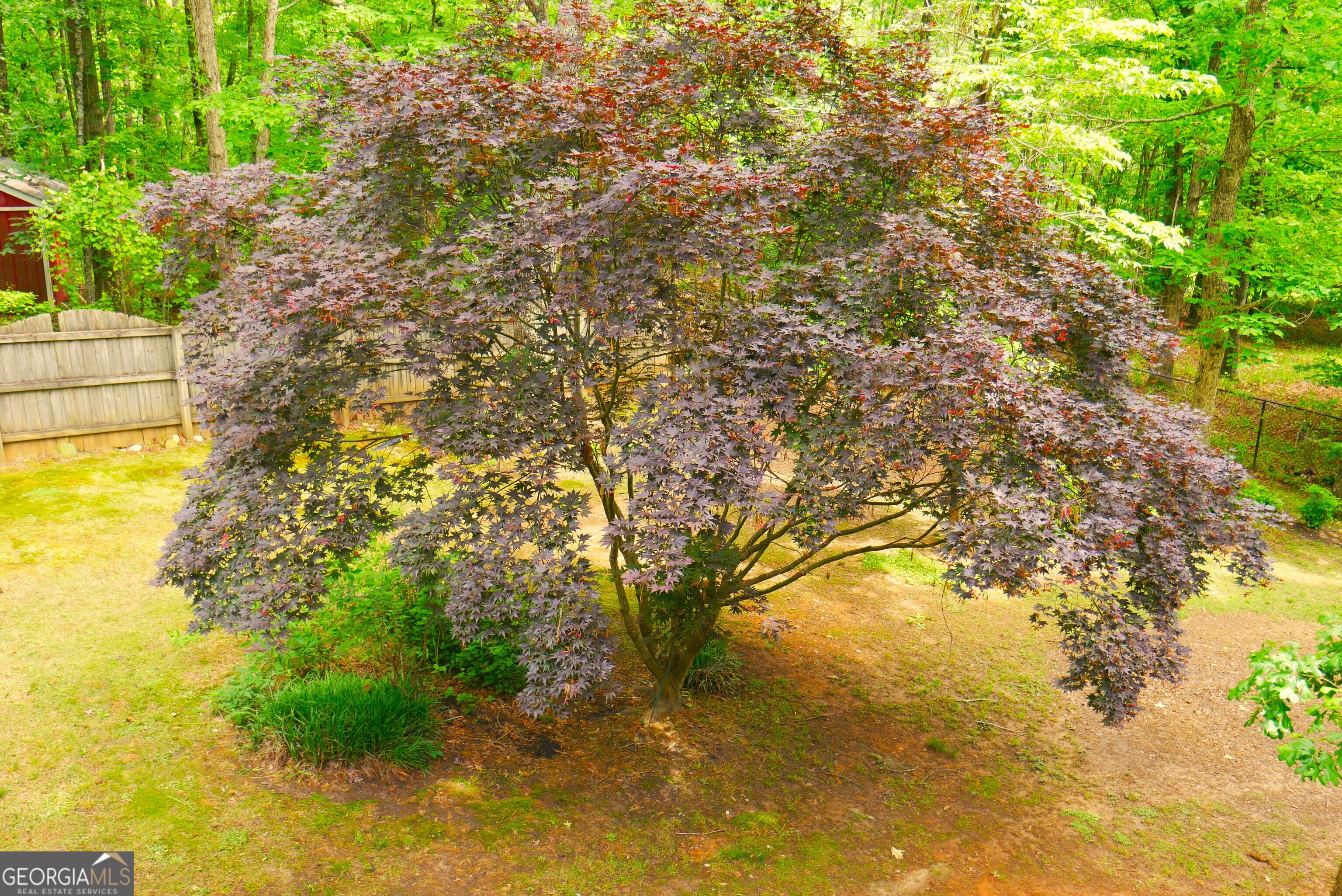 24 Lake Laurel Drive Dahlonega GA 30533