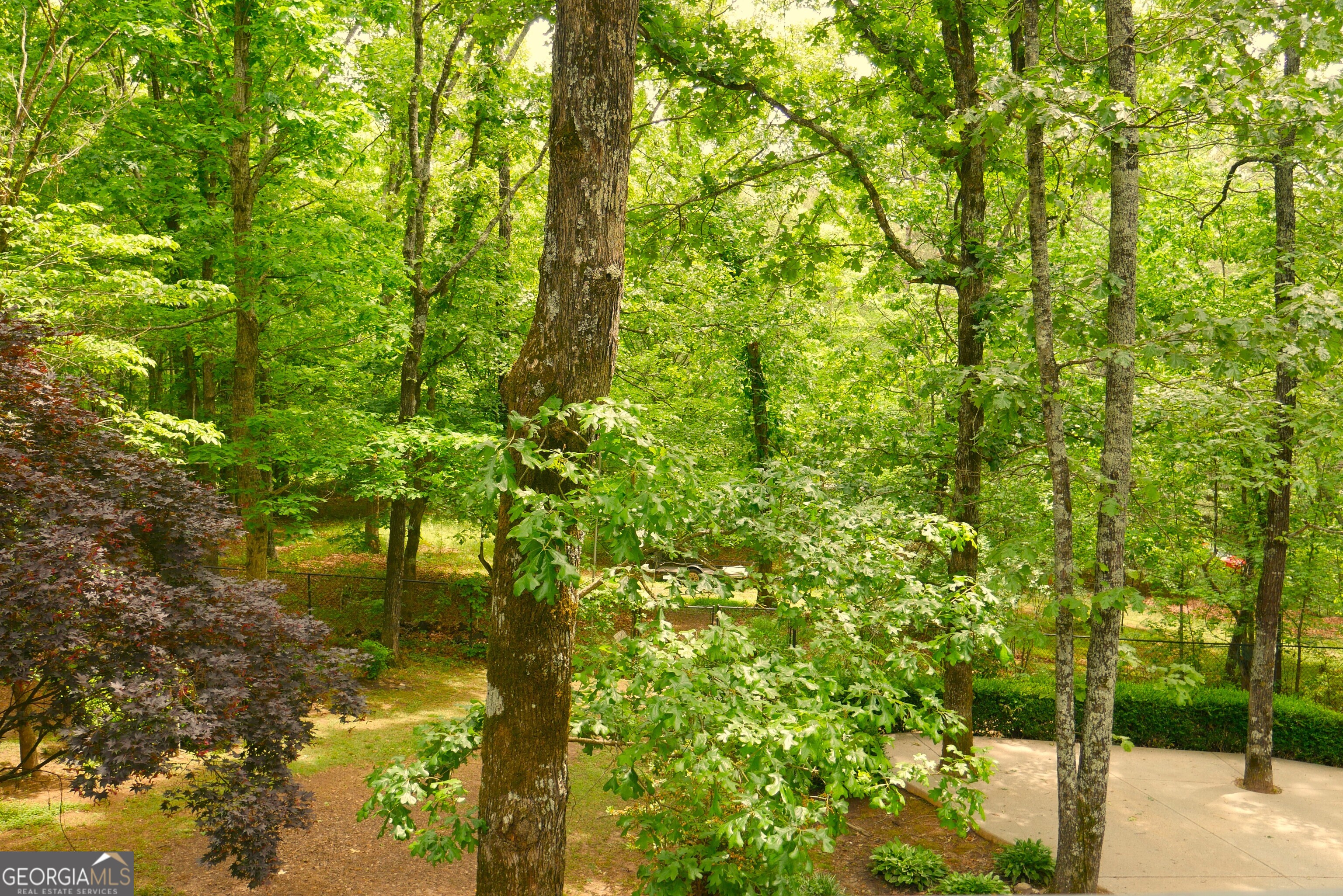 24 Lake Laurel Drive Dahlonega GA 30533