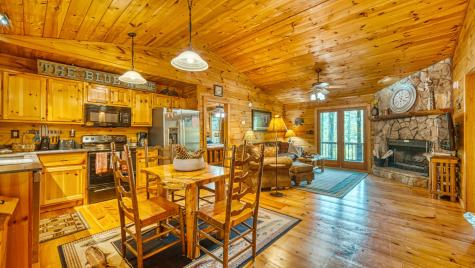 206 Mountain View Drive Cherry Log GA 30522