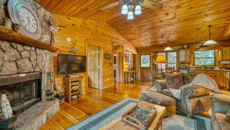 206 Mountain View Drive Cherry Log GA 30522