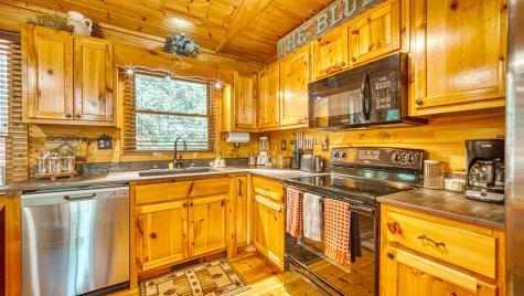 206 Mountain View Drive Cherry Log GA 30522