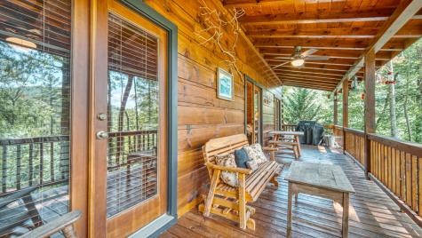 206 Mountain View Drive Cherry Log GA 30522