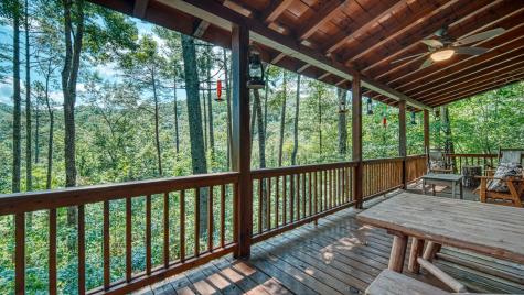 206 Mountain View Drive Cherry Log GA 30522