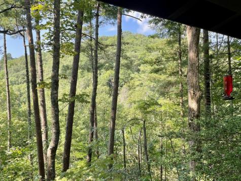 206 Mountain View Drive Cherry Log GA 30522