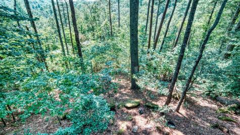 206 Mountain View Drive Cherry Log GA 30522