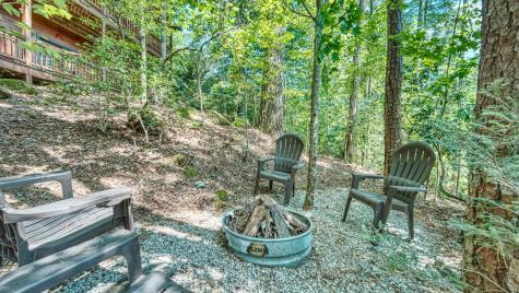206 Mountain View Drive Cherry Log GA 30522