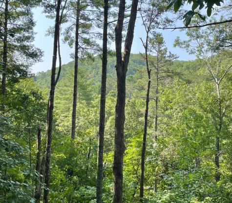 206 Mountain View Drive Cherry Log GA 30522